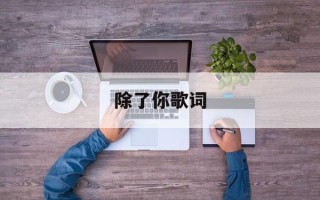除了你歌词