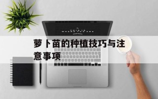 萝卜苗的种植技巧与注意事项