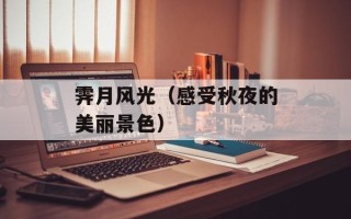 霁月风光（感受秋夜的美丽景色）