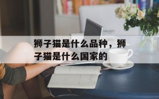 狮子猫是什么品种，狮子猫是什么国家的