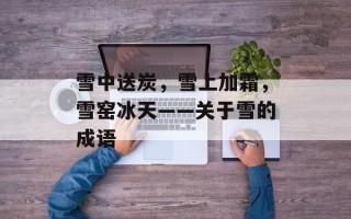 雪中送炭，雪上加霜，雪窑冰天——关于雪的成语