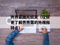齐齐菜图片欣赏（让你更了解齐齐菜的外观和特点）