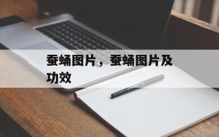 蚕蛹图片，蚕蛹图片及功效