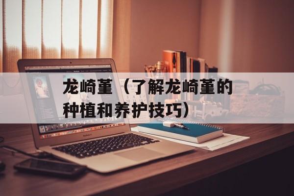 龙崎堇（了解龙崎堇的种植和养护技巧）-第1张图片-