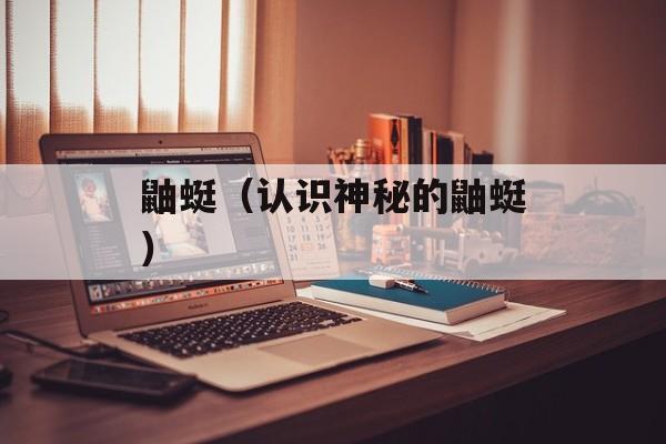 鼬蜓（认识神秘的鼬蜓）-第1张图片-