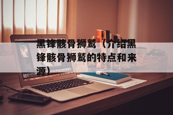 黑锋骸骨狮鹫（介绍黑锋骸骨狮鹫的特点和来源）-第1张图片-