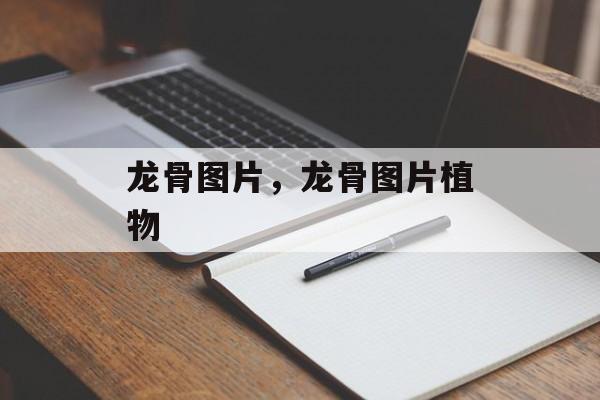 龙骨图片，龙骨图片植物-第1张图片-
