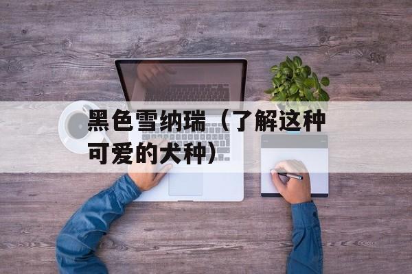 黑色雪纳瑞（了解这种可爱的犬种）-第1张图片-