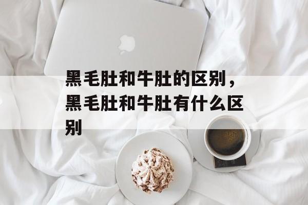 黑毛肚和牛肚的区别，黑毛肚和牛肚有什么区别-第1张图片-