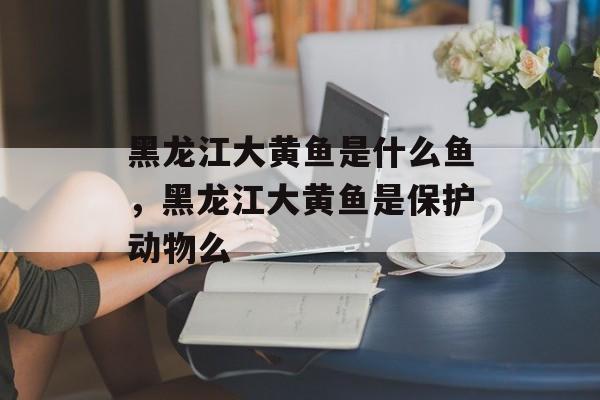 黑龙江大黄鱼是什么鱼，黑龙江大黄鱼是保护动物么-第1张图片-