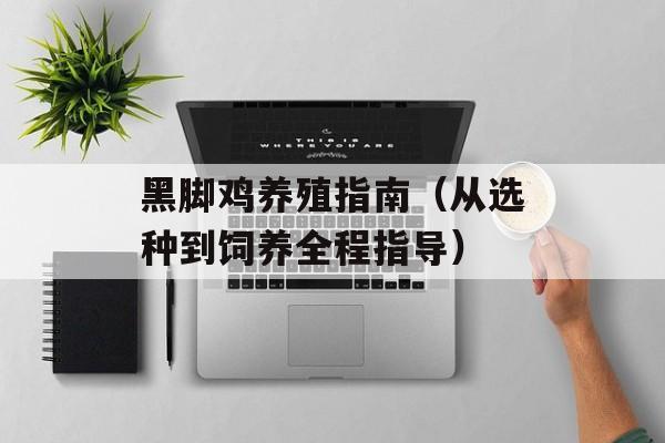 黑脚鸡养殖指南（从选种到饲养全程指导）-第1张图片-