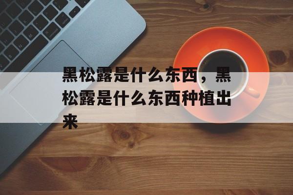 黑松露是什么东西，黑松露是什么东西种植出来-第1张图片-