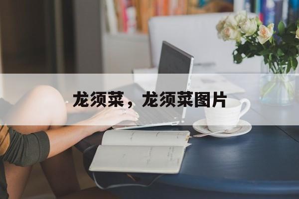 龙须菜，龙须菜图片-第1张图片-