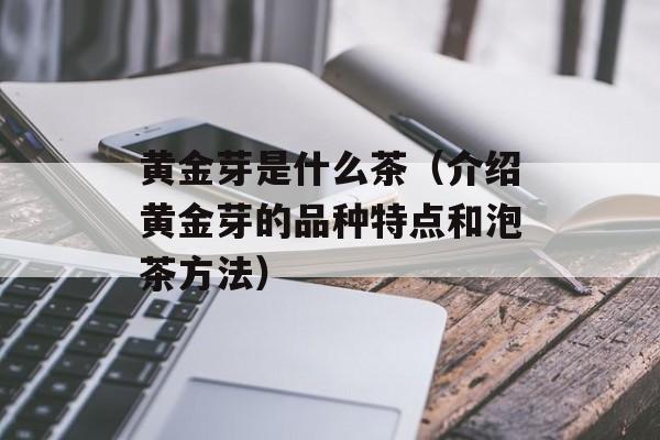 黄金芽是什么茶（介绍黄金芽的品种特点和泡茶方法）-第1张图片-