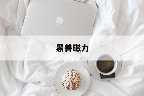 黑兽磁力-第1张图片-