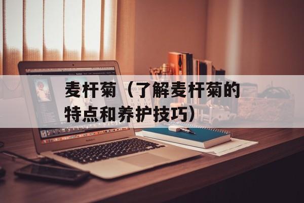 麦杆菊（了解麦杆菊的特点和养护技巧）-第1张图片-