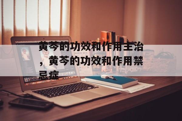 黄芩的功效和作用主治，黄芩的功效和作用禁忌症-第1张图片-