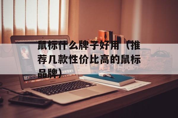 鼠标什么牌子好用（推荐几款性价比高的鼠标品牌）-第1张图片-