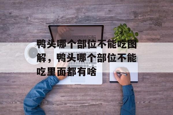 鸭头哪个部位不能吃图解，鸭头哪个部位不能吃里面都有啥-第1张图片-