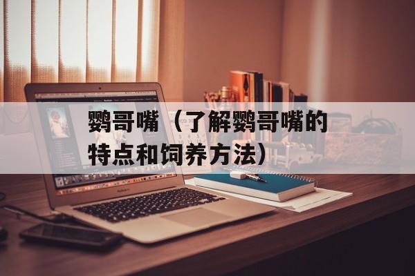 鹦哥嘴（了解鹦哥嘴的特点和饲养方法）-第1张图片-