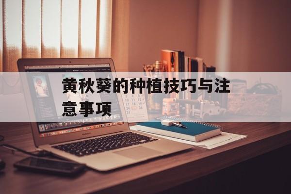 黄秋葵的种植技巧与注意事项-第1张图片-