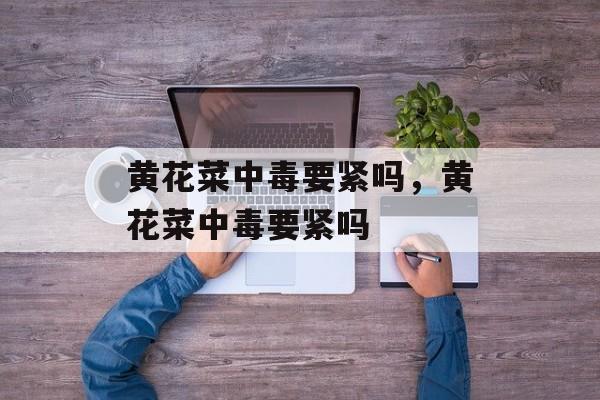 黄花菜中毒要紧吗，黄花菜中毒要紧吗-第1张图片-