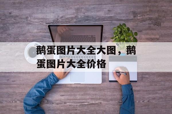 鹅蛋图片大全大图，鹅蛋图片大全价格-第1张图片-
