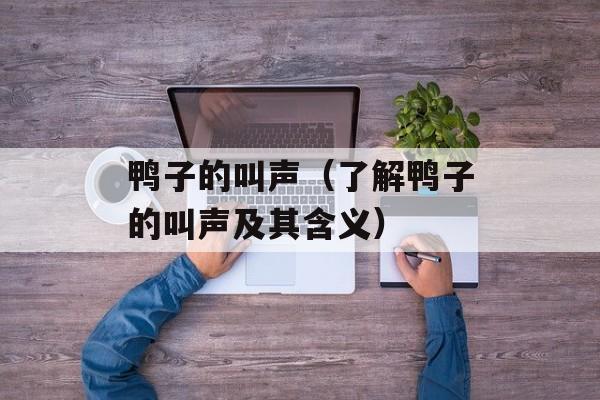 鸭子的叫声（了解鸭子的叫声及其含义）-第1张图片-