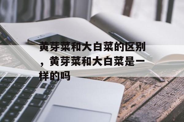 黄芽菜和大白菜的区别，黄芽菜和大白菜是一样的吗-第1张图片-