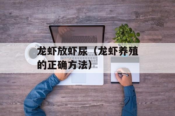 龙虾放虾尿（龙虾养殖的正确方法）-第1张图片-