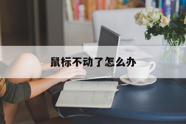 鼠标不动了怎么办-第1张图片-