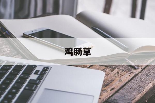 鸡肠草-第1张图片-