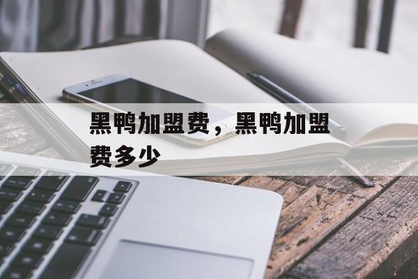 黑鸭加盟费，黑鸭加盟费多少-第1张图片-