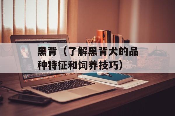 黑背（了解黑背犬的品种特征和饲养技巧）-第1张图片-