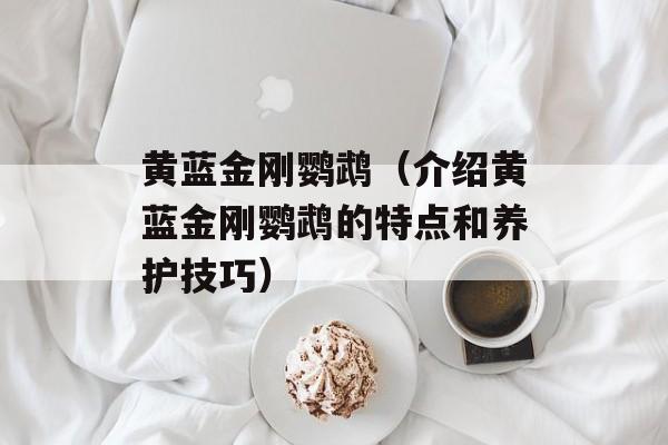 黄蓝金刚鹦鹉（介绍黄蓝金刚鹦鹉的特点和养护技巧）-第1张图片-