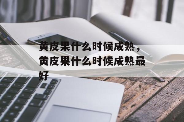黄皮果什么时候成熟，黄皮果什么时候成熟最好-第1张图片-