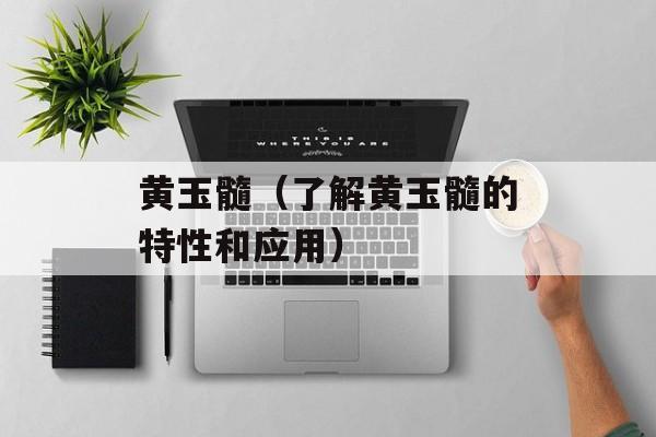 黄玉髓（了解黄玉髓的特性和应用）-第1张图片-