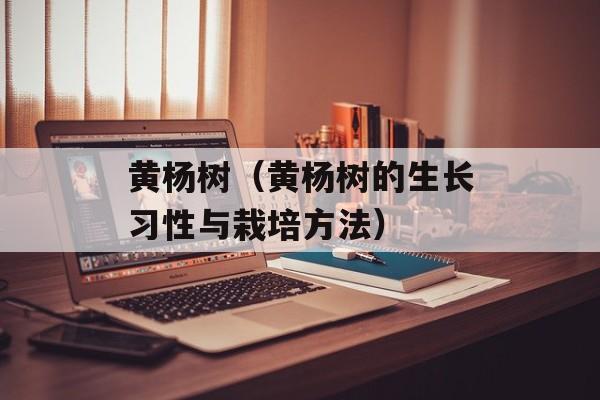 黄杨树（黄杨树的生长习性与栽培方法）-第1张图片-
