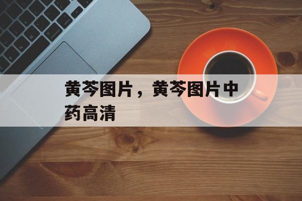 黄芩图片，黄芩图片中药高清-第1张图片-