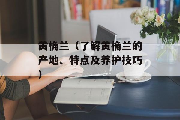 黄桷兰（了解黄桷兰的产地、特点及养护技巧）-第1张图片-