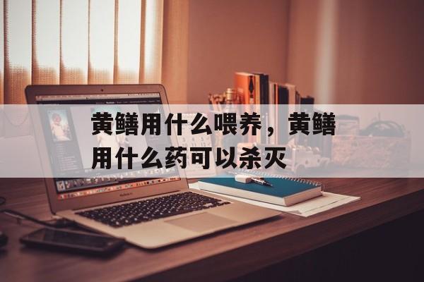 黄鳝用什么喂养，黄鳝用什么药可以杀灭-第1张图片-