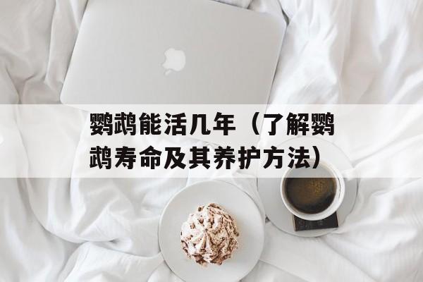 鹦鹉能活几年（了解鹦鹉寿命及其养护方法）-第1张图片-