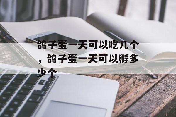 鸽子蛋一天可以吃几个，鸽子蛋一天可以孵多少个-第1张图片-