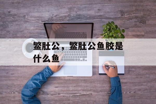 鳘肚公，鳘肚公鱼胶是什么鱼-第1张图片-