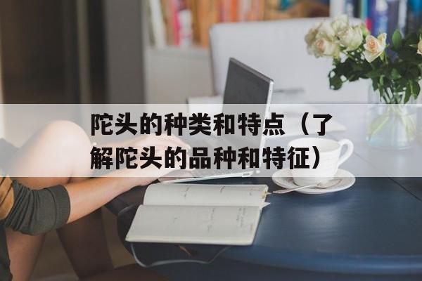 陀头的种类和特点（了解陀头的品种和特征）-第1张图片-