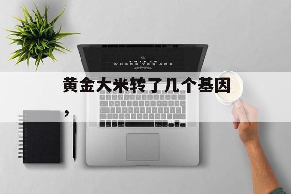 黄金大米转了几个基因，-第1张图片-