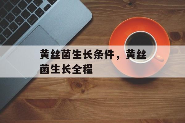 黄丝菌生长条件，黄丝菌生长全程-第1张图片-