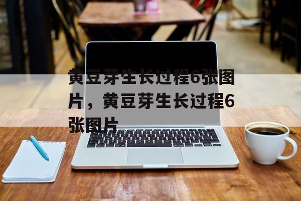 黄豆芽生长过程6张图片，黄豆芽生长过程6张图片-第1张图片-