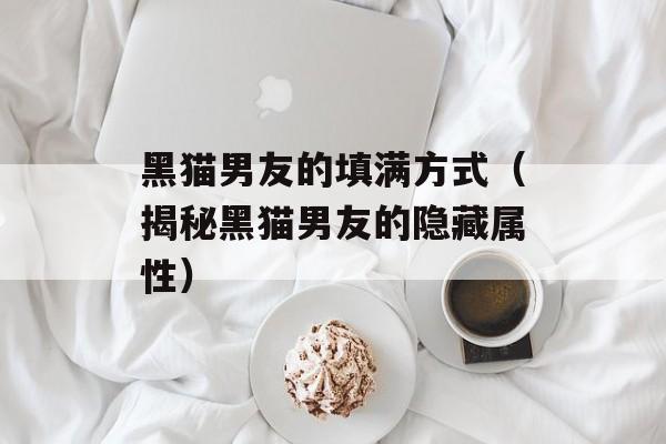 黑猫男友的填满方式（揭秘黑猫男友的隐藏属性）-第1张图片-