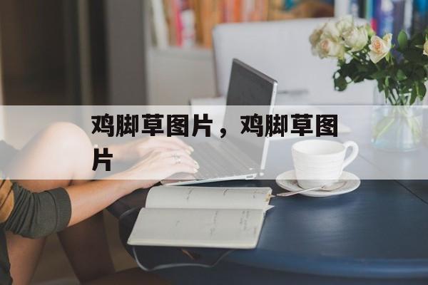 鸡脚草图片，鸡脚草图片-第1张图片-